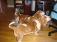 Enlarge photo 19