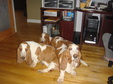 Enlarge photo 21