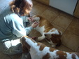 Enlarge photo 8