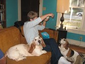Enlarge photo 9