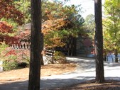 Enlarge photo 32