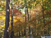 Enlarge photo 35