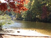 Enlarge photo 36