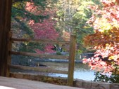 Enlarge photo 37