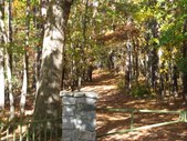 Enlarge photo 38