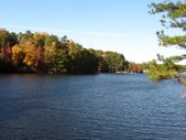 Enlarge photo 39