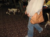 Enlarge photo 69
