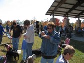 Enlarge photo 87