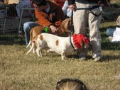 Enlarge photo 119