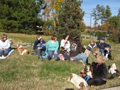 Enlarge photo 129