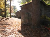 Enlarge photo 145