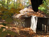 Enlarge photo 147
