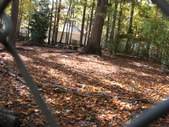 Enlarge photo 148