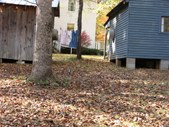 Enlarge photo 152