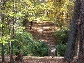 Enlarge photo 154