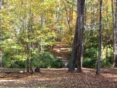 Enlarge photo 155