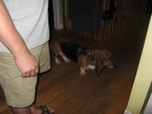 Enlarge photo 9