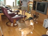 Enlarge photo 16