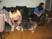 Enlarge photo 19