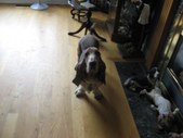 Enlarge photo 22