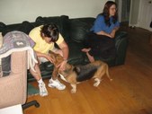 Enlarge photo 23