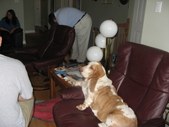 Enlarge photo 26