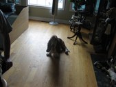 Enlarge photo 27