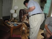 Enlarge photo 32