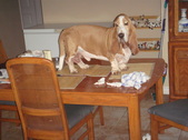 Enlarge photo 5