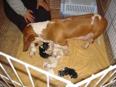 Enlarge photo 35
