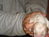 Enlarge photo 39