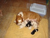 Enlarge photo 43