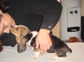 Enlarge photo 2