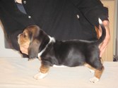 Enlarge photo 9