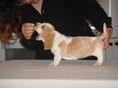Enlarge photo 23