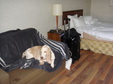 Enlarge photo 4