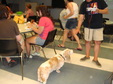 Enlarge photo 15