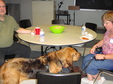 Enlarge photo 18