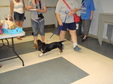 Enlarge photo 19