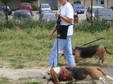 Enlarge photo 27