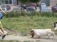 Enlarge photo 28