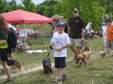 Enlarge photo 29