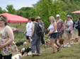 Enlarge photo 30