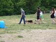 Enlarge photo 35