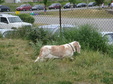 Enlarge photo 43