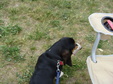 Enlarge photo 44