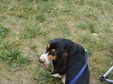 Enlarge photo 45
