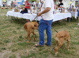 Enlarge photo 46