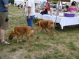 Enlarge photo 47