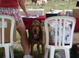 Enlarge photo 48